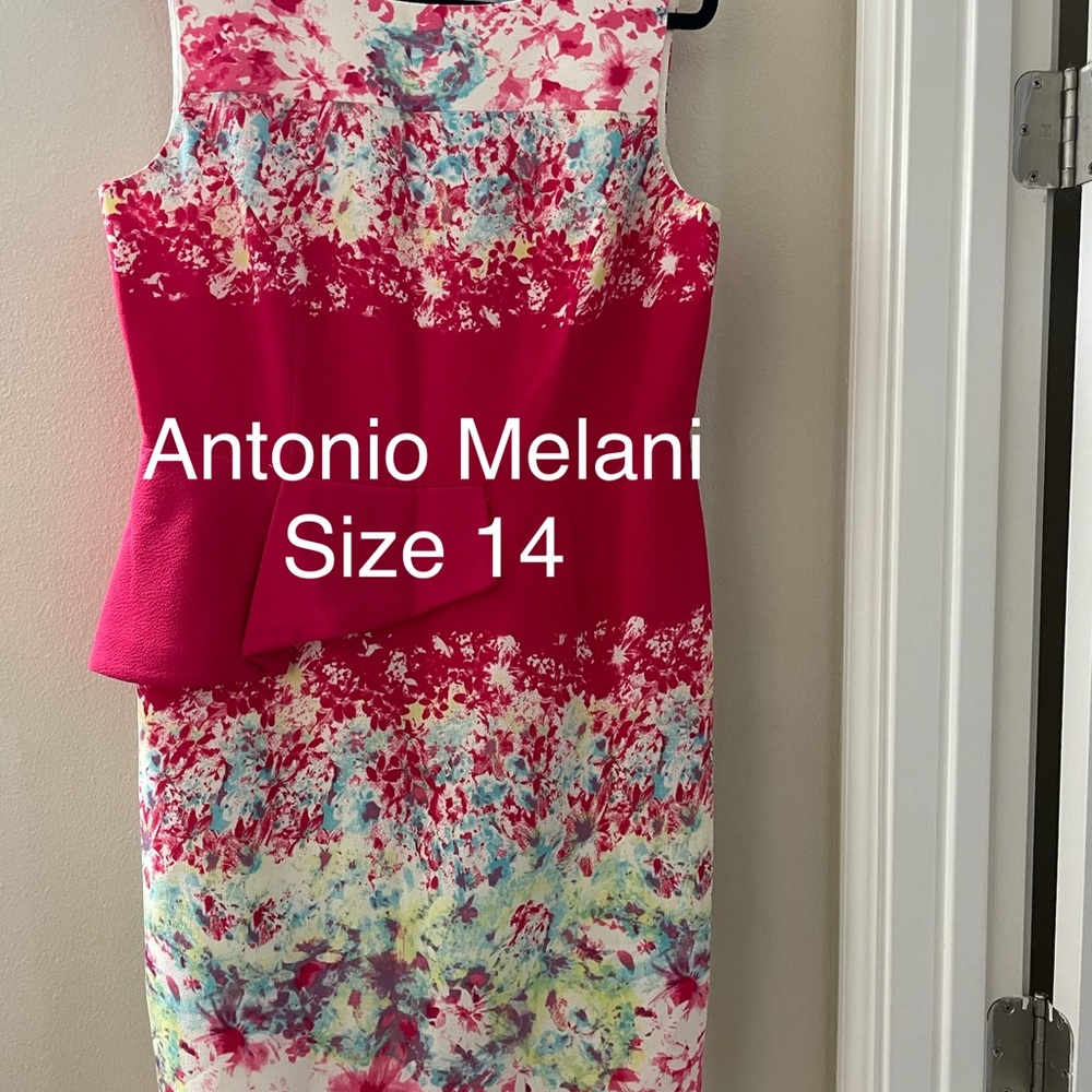 Antonio Melani Red and Pink Floral Dress